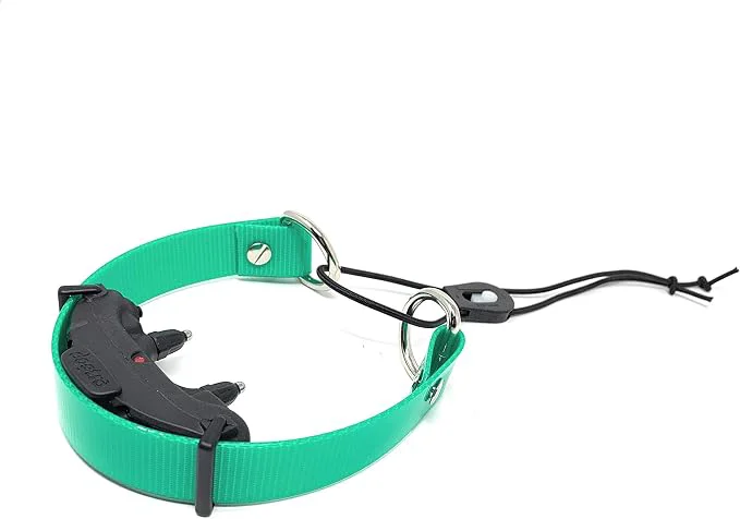 Original Design Sparky Pet Co - Surefit ECollar Strap - Bungee Dog Modern