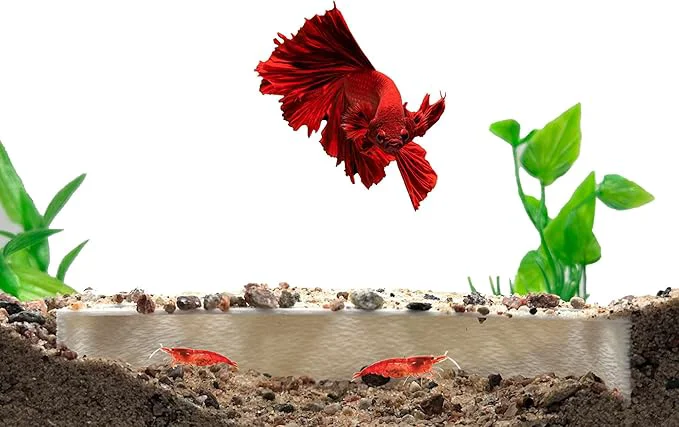 Classic Shrimp Breeding Protector Shrimp Breeding Cave Aquarium Tunnel CTWPets Convenient