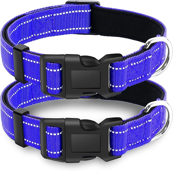 Artisan 2 Pack Reflective Dog Collar Professional