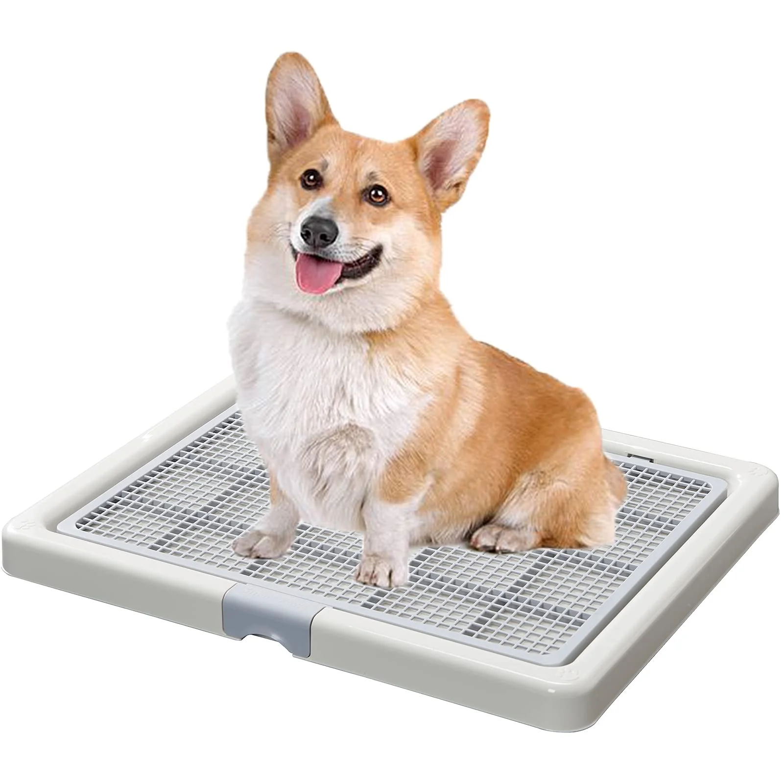 Exclusive Smart Paws Corgi Potty Training Toilet French Bulldog Tray — 65x52 cm Premium Material