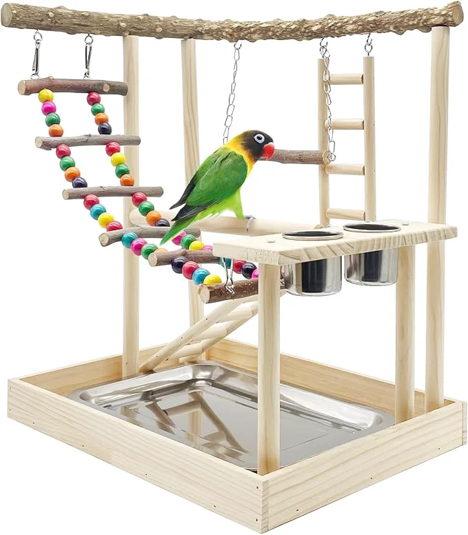 Detailed Hamiledyi Bird Playground Parrots Wood Perch Stand Cockatiel Playground Bird High-Grade