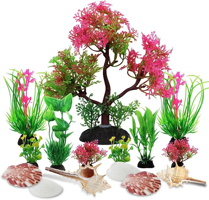 Responsible Aquarium Plants with Natural Decorations Shells Innovative