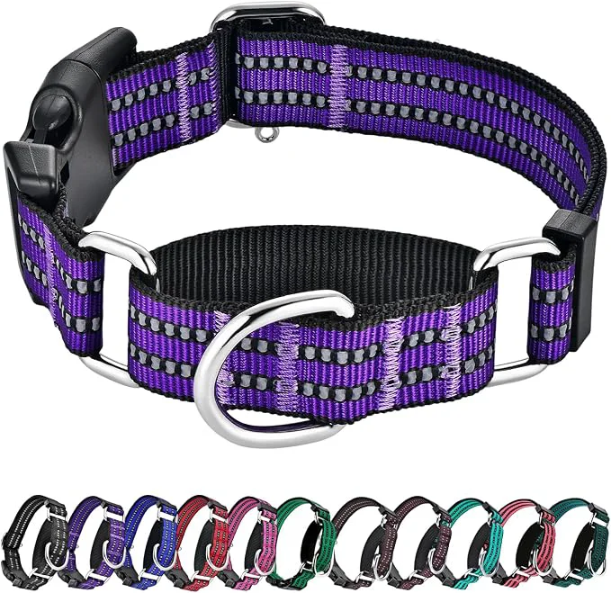 Clean Hikiko Martingale Collar for Dogs Reflective Nylon Dog Collar Genuine