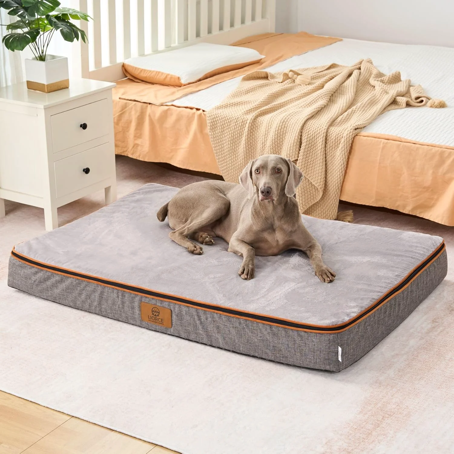 Trusted Orthopedic Memory Foam Giant Dog Bed - 6 Thick Beds for Large Sized Dog - Waterproof Removable Washable Cover Wrap-Around Zipper - Comfort Easy Maintenance Reliable
