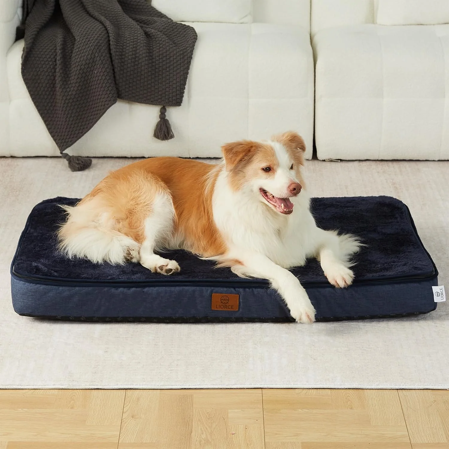 Stylish Memory Foam XL Dog Bed - 4 Thick Orthopedic Beds for Extra Large Dogs - Waterproof Dog Bed with Removable Washable Cover Wrap-Around Zipper - Comfort and Easy Maintenance Breathable