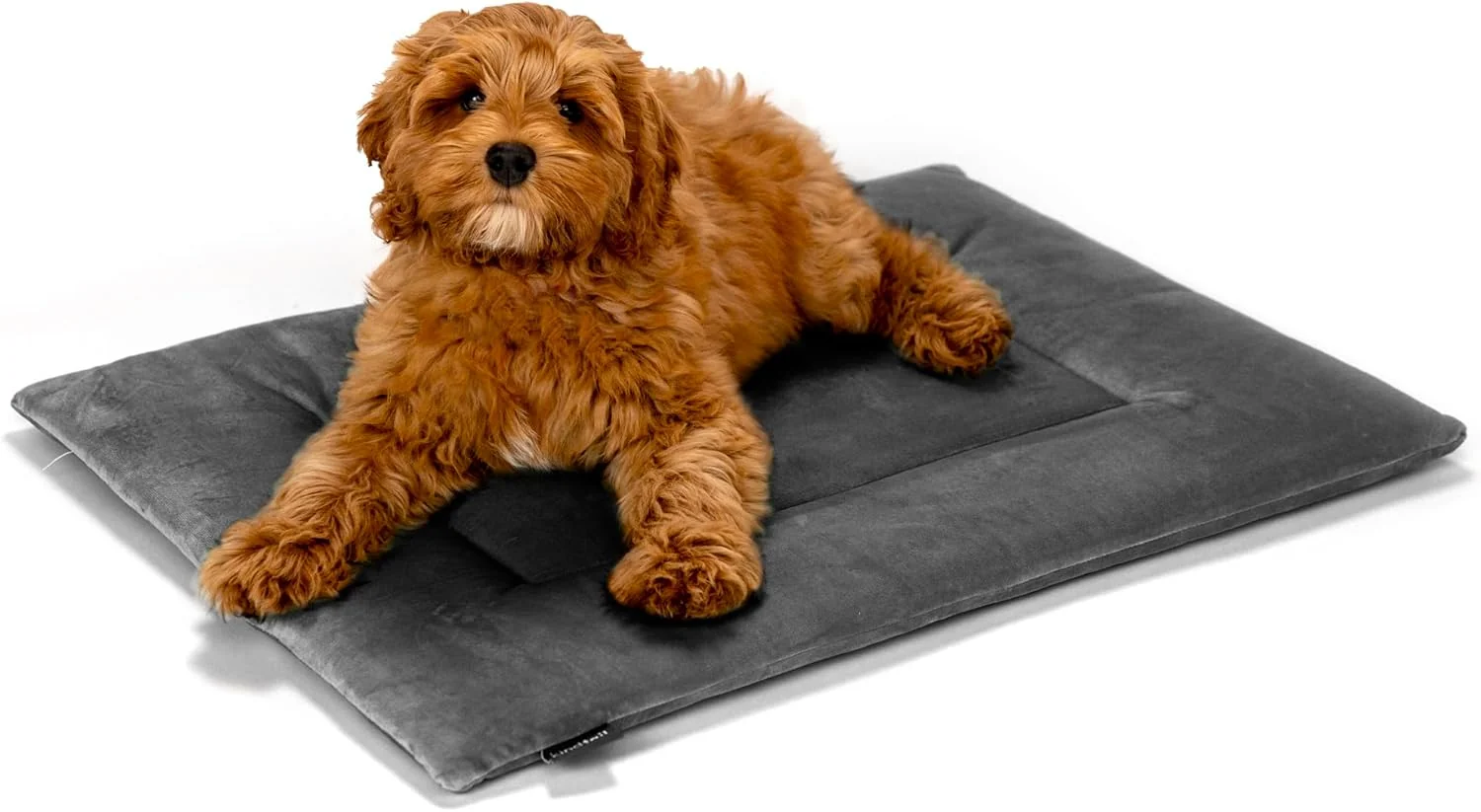 Consistent KindTail Dog Crate Pad - Soft Velvet Reversible Bed - Machine Washable Kennel Mat for Pets up to 25 lbs - Mattress for Cozy Sleeping - 25 x 19 x 1 Dark Grey Medium Minimalist