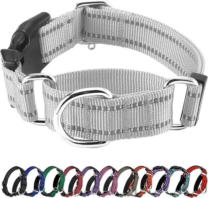 Versatile Hikiko Reflective Martingale Collar Effective