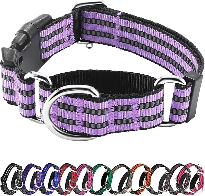 Unique Hikiko Martingale Dog Collars Reflective Nylon Dog Collar Selected