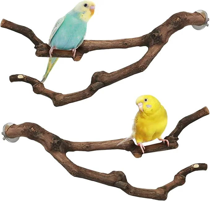 Relaxed PINVNBY Natural Parrot Perch Grape Wood Bird Stand Pole Parakeet Paw Grinding Official
