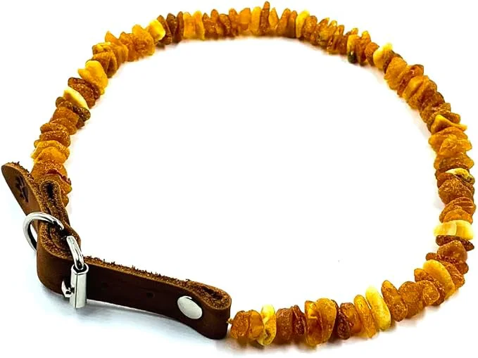Exceptional Baltic Amber Dog Cat Collar Original