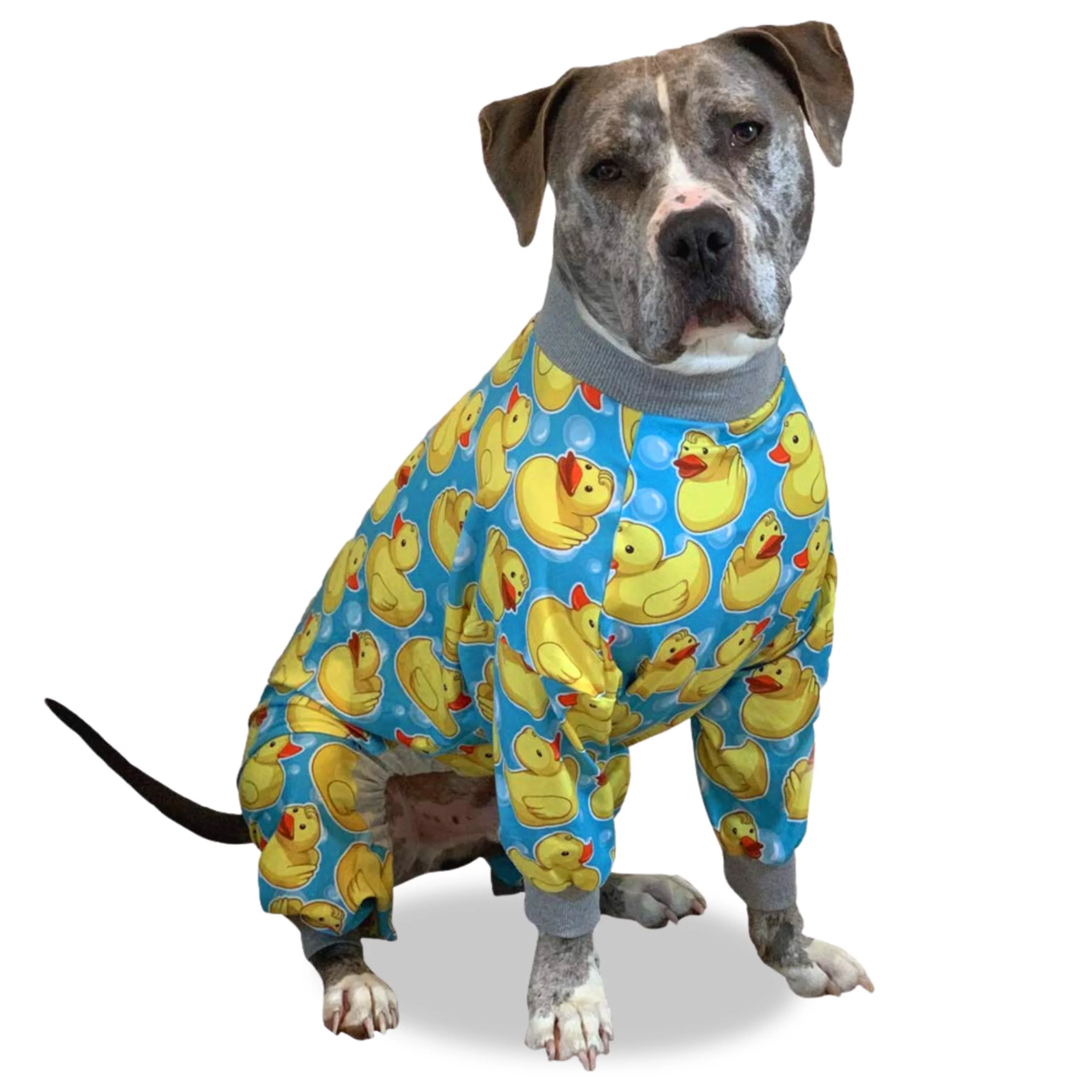 Advanced Tooth Honey Pit Bull Pajamas — Rubber Duck Print Lightweight Pullover Full Coverage Dog PJs Yellow Grey Trim Natural