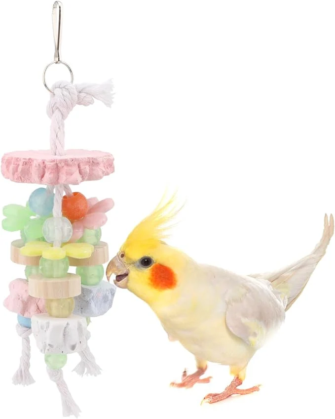 Natural Hypeety Bird Calcium Teeth Grinding Stone Chew Treats Toy Beak Buffer Stone Outstanding