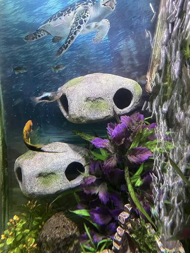 Modern Aquarium Decor Magnetic Rock Cave Ornament – Wall-Mounted Fish Tank Accessory Reliable
