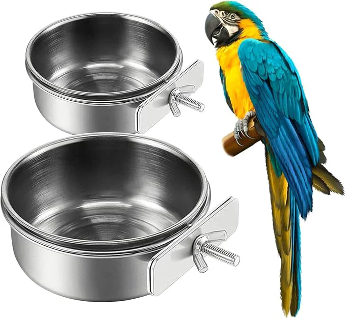 Genuine 2Pcs Stainless Steel Bird Feeding Bowls Small Bird Feeding Cup Stainless First-Class