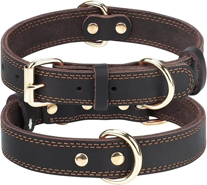 Certified Joytale Leather Dog Collar for Small Dogs Solid Sturdy Leather for User-Friendly