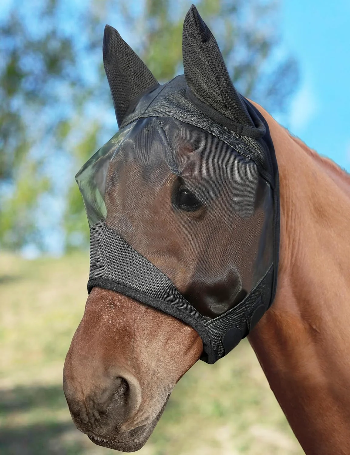 Verified Horse Fly Mask Half Face with Ears Full Face UV Protection for Horses Breathable Fine Mesh Equine Fly Mask M - Cob Original