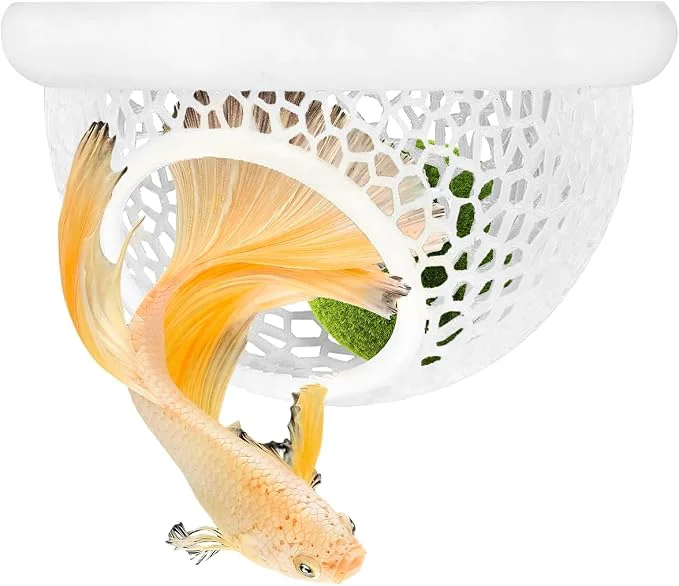 Verified Aquarium Betta Fish Feeding Station Floating Ring Consistent