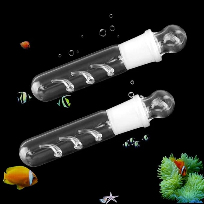 Refined 2 Pack Clear Glass Planaria Trap Catch Trap Aquarium Cleaning Supply Innovative