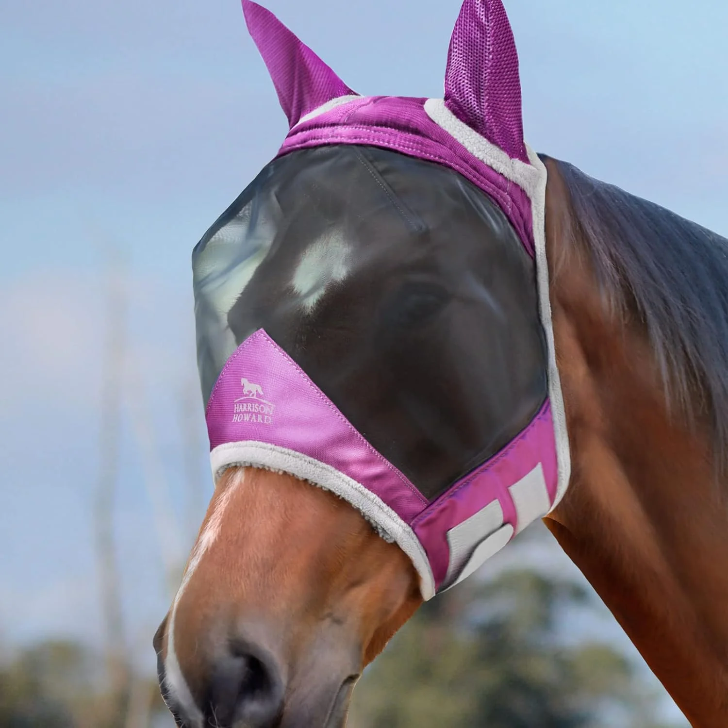Verified Harrison Howard CareMaster Pro Luminous Horse Fly Mask Large Eye Space Standard with Ears UV Protection for Horse Dark Magenta Full Size Luxury