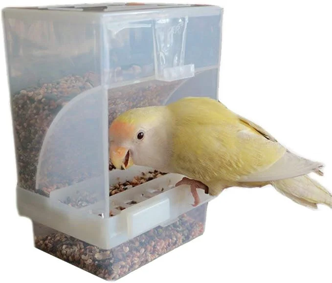 Artisan Hypeety Automatic Bird Feeder No Mess Pet Feeder Seed Food Container Perch Cage Professional