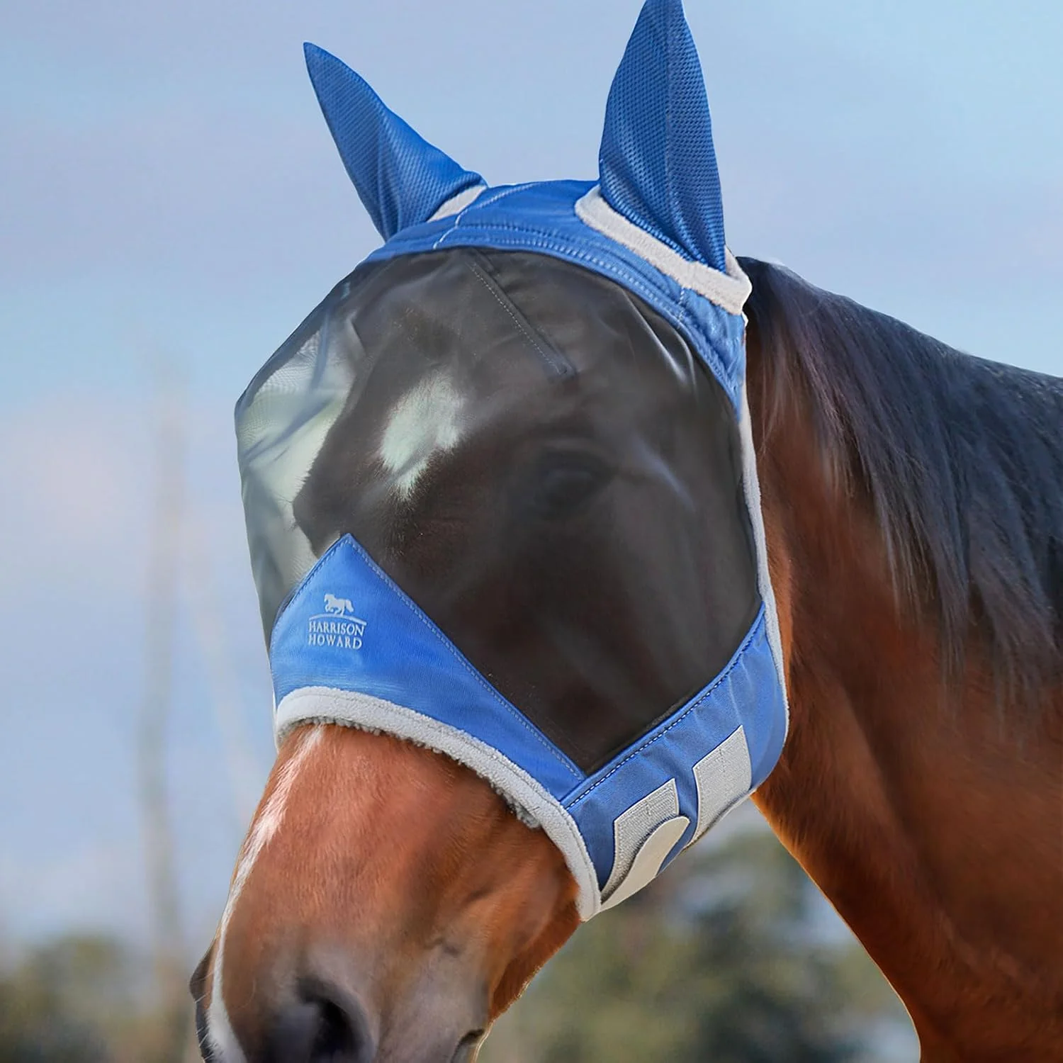Classic Harrison Howard CareMaster Pro Luminous Horse Fly Mask Large Eye Space Standard with Ears UV Protection for Horse Royal Blue M Cob Fast