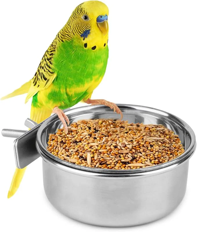 Superior Hypeety Pet Bird Food Feeding and Drinking Hanging Cup Clamp Holder Stainless Natural