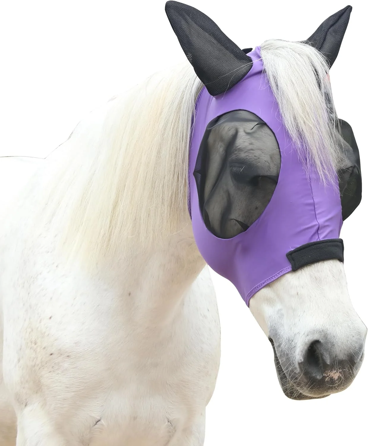 World-Class Stretchy Horse Fly Mask for Horses Soft Lycra Equine Mesh Mask Elasticity Horse Face Covering Breathable UV Protection Violet Cob Elegant