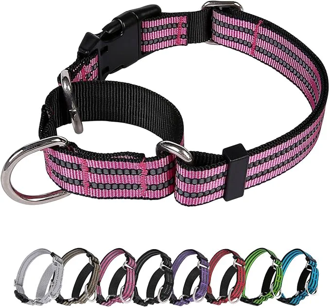 Authentic Martingale Dog Collar Adjustable Nylon Reflective Collar Exceptional