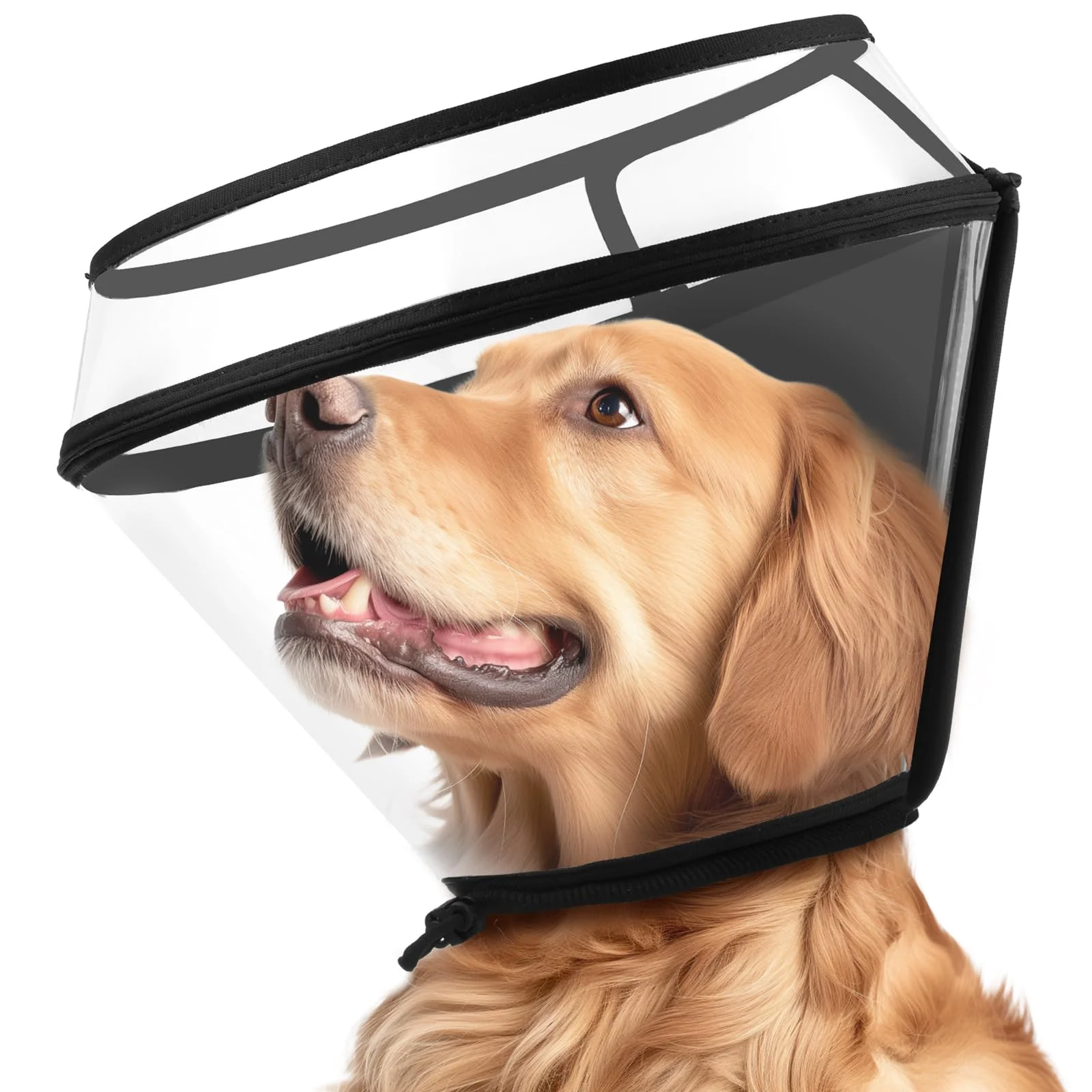 Exceptional BONTHEE XXXL Dog Cone Collar – Adjustable Depth Transparent Recovery Collar for Dogs Artisan