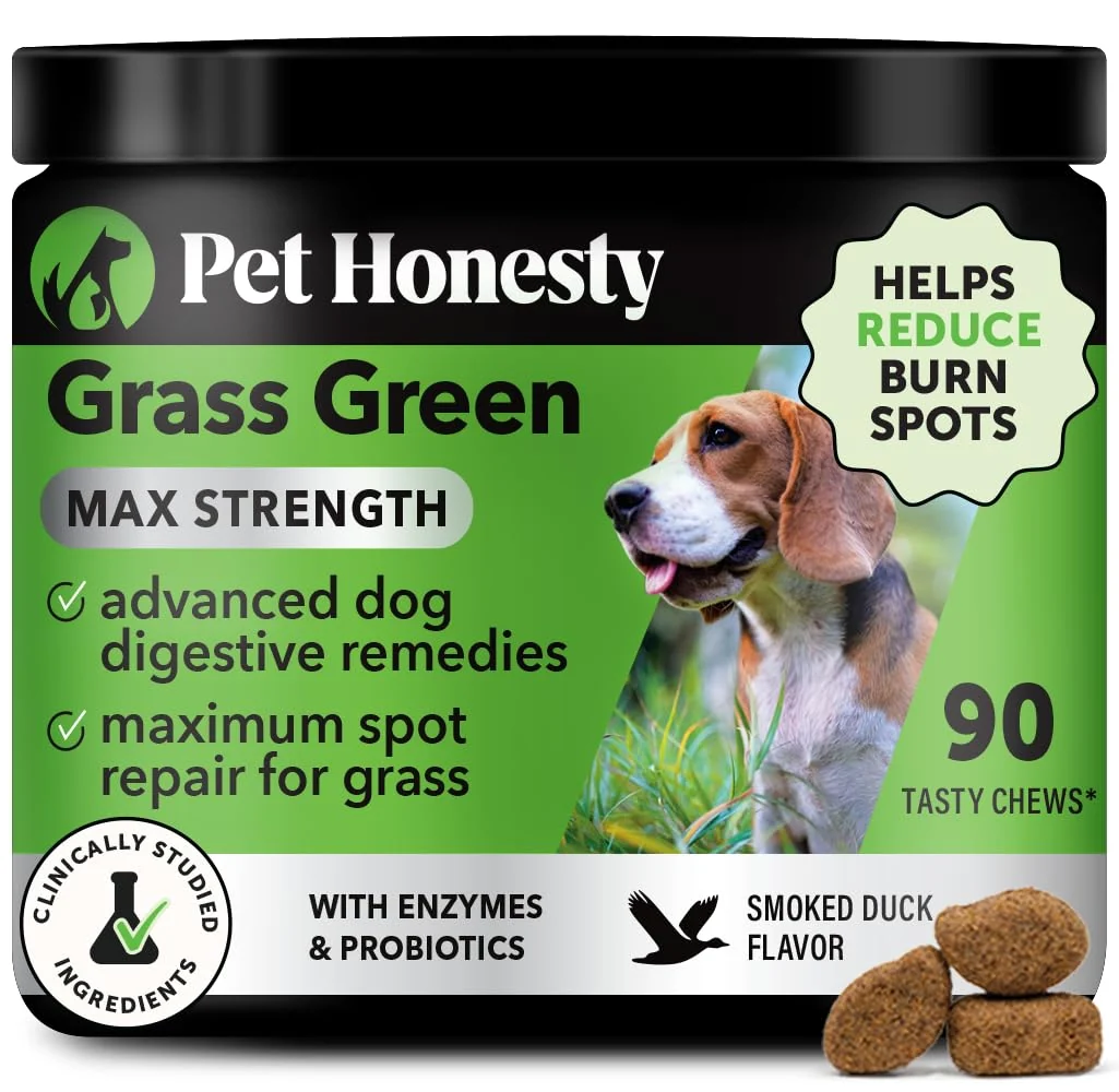 Next-Generation Pet Honesty Grass Green Max Strength Chews for Dogs – Lawn Protection Digestive Support Duck Flavor Consistent