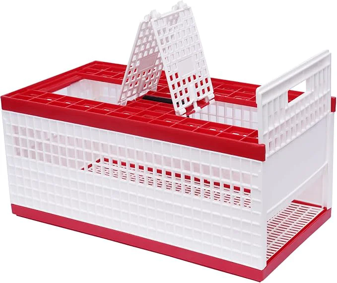Pure Plastic Foldable Pigeon Carrier Cage Racing Pigeon Carrier Box Specialty