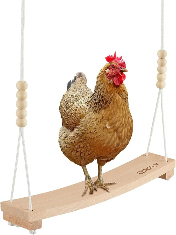 Genuine Arc-Shaped Chicken Swing Heavy Beech Wood Chicken Toys Dependable