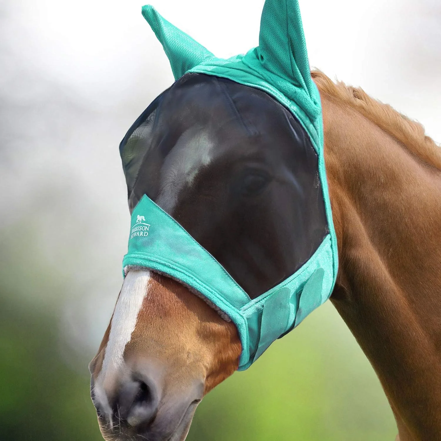 Classic Harrison Howard CareMaster Pro Luminous Horse Fly Mask Large Eye Space Standard with Ears UV Protection for Horse Summer Mint XL Extra Full Relaxed
