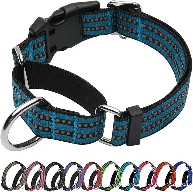World-Class Martingale Dog Collar Adjustable Nylon Reflective Collar Convenient