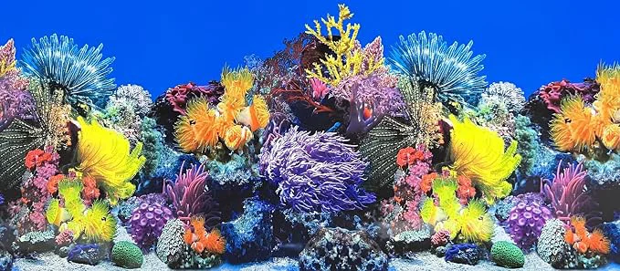 Quality Fish Tank Background Sea Anemone Coral Theme Aquarium Background Poster Fish Optimized