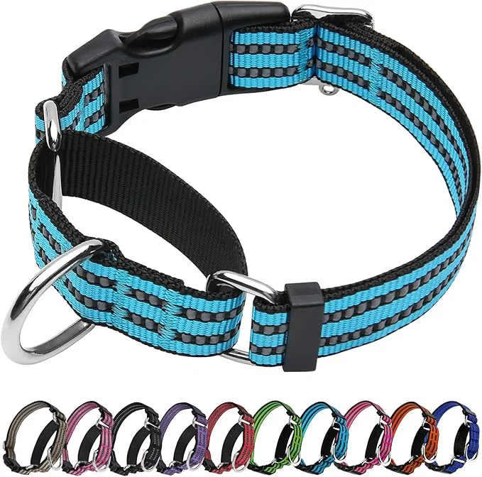 Casual Martingale Dog Collar Adjustable Nylon Reflective Collar Genuine