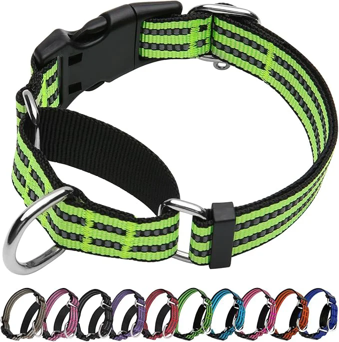 Stylish Martingale Dog Collar Adjustable Nylon Reflective Collar Enhanced