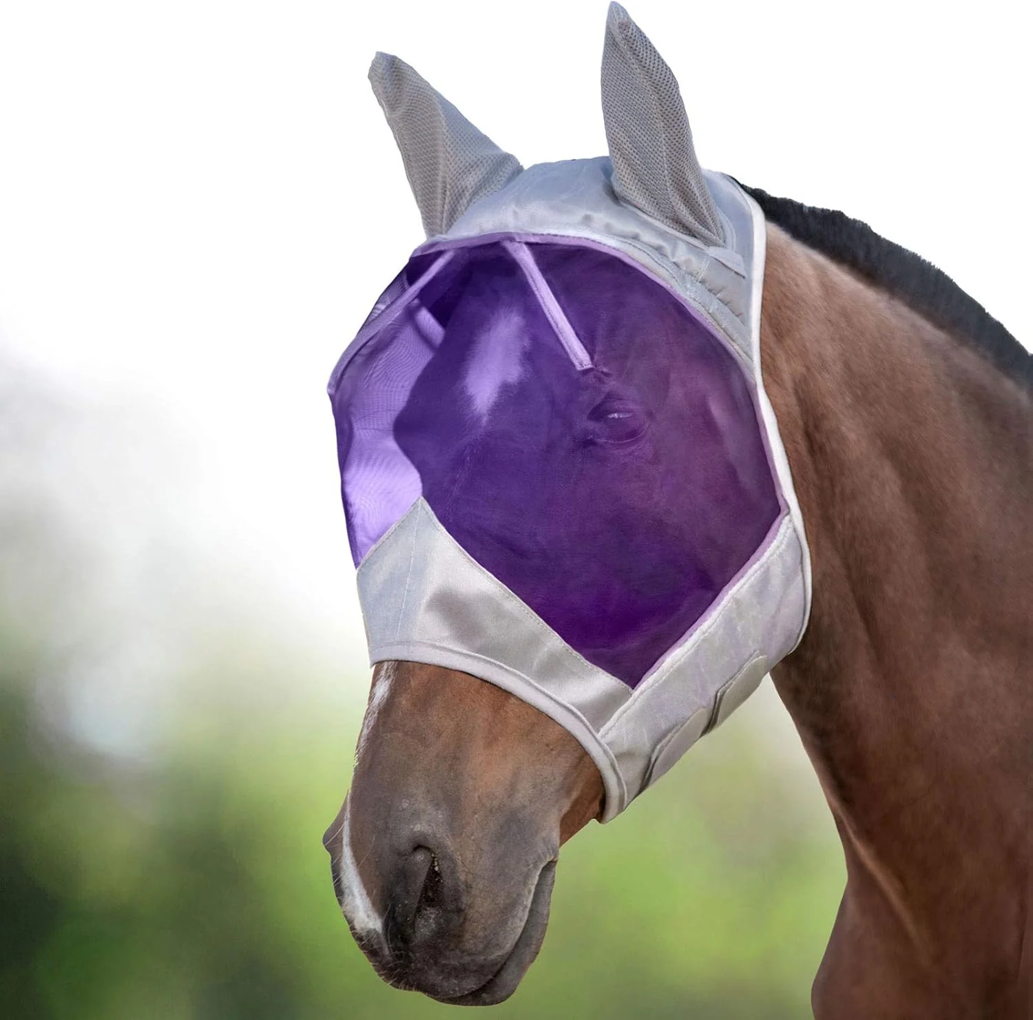 Efficient Harrison Howard CareMaster Horse Fly Mask Half Face with Ears Silver Purple Retro Small Pony Classic