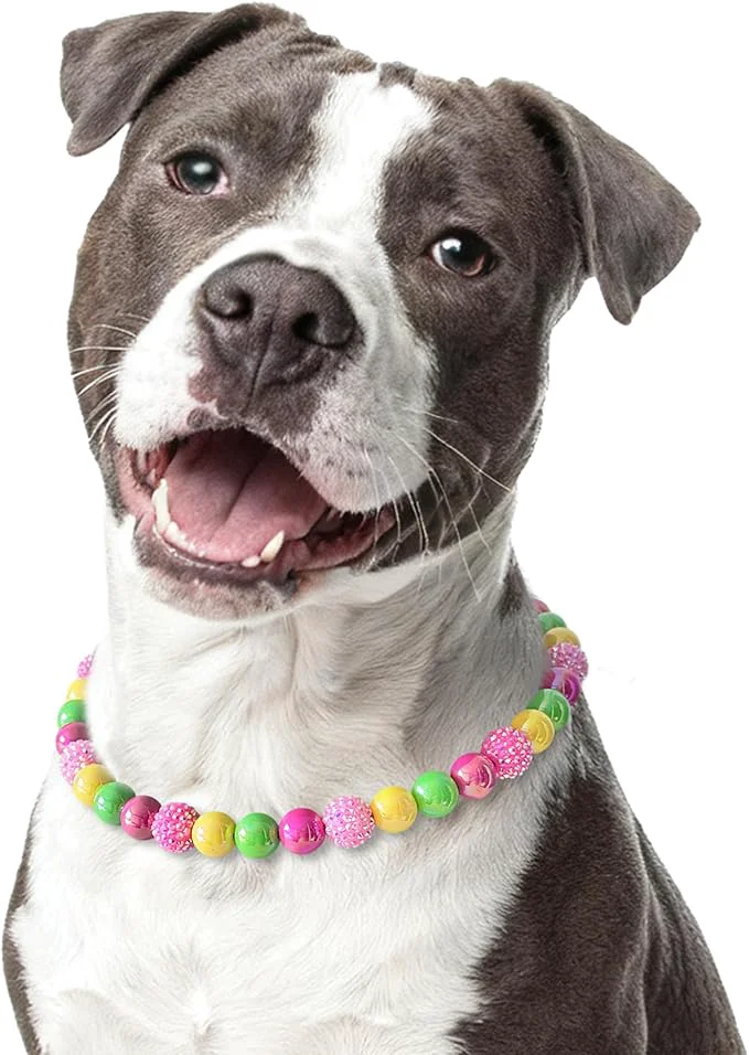Detailed Beaded Dog Necklace Collar Adjustable Jewelry-Inspired Design Pure