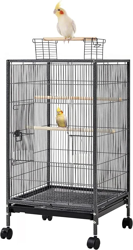 Recyclable 36-Inch Deluxe Sturdy Wrought Iron Bird Flight Open Play Top Cage Casual