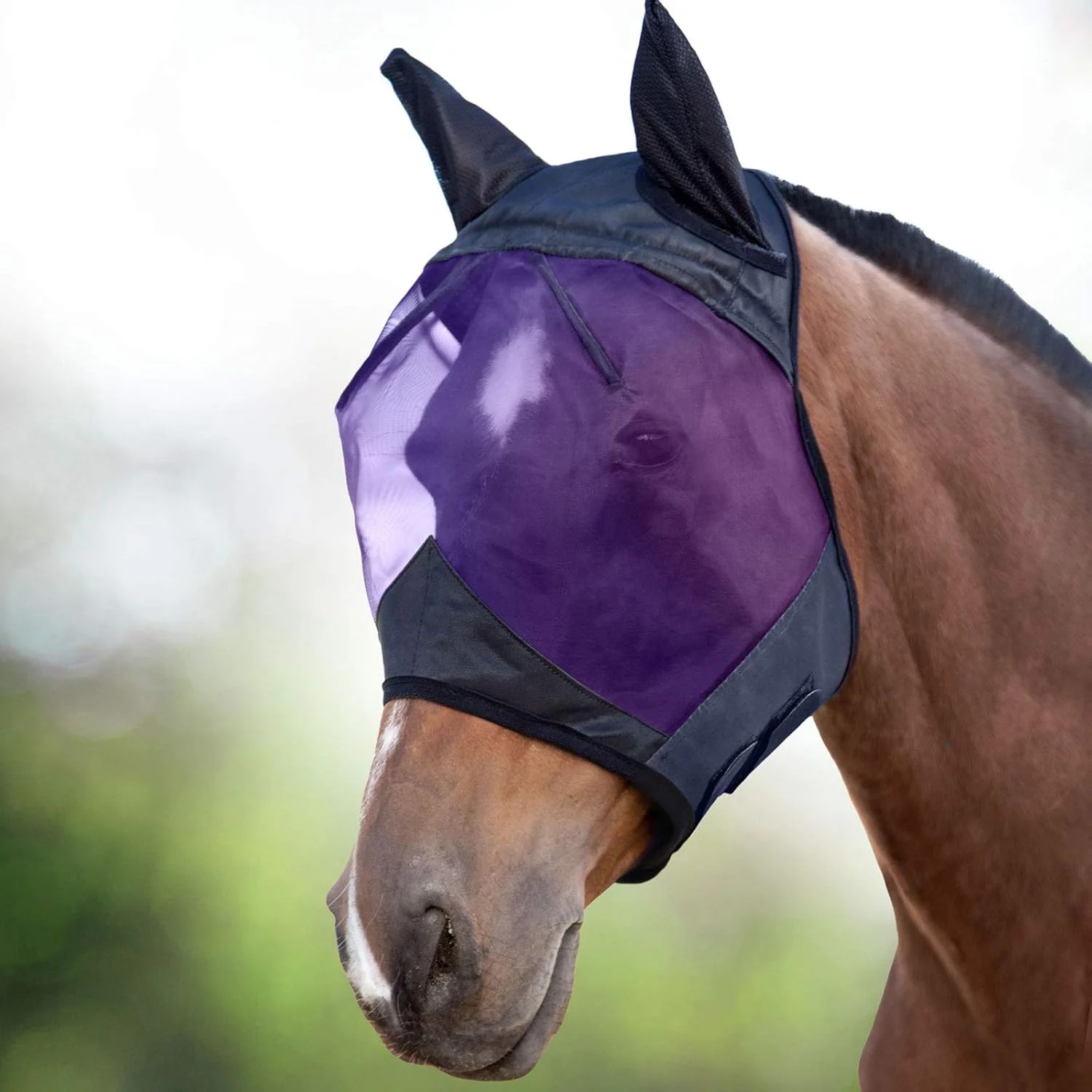 Classic Harrison Howard CareMaster Horse Fly Mask Half Face with Ears Black Purple Retro Medium Cob Proven