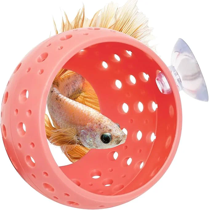 Enhanced Fhiny Betta Tunnel Aquarium Betta Fish Hideout High-Performance