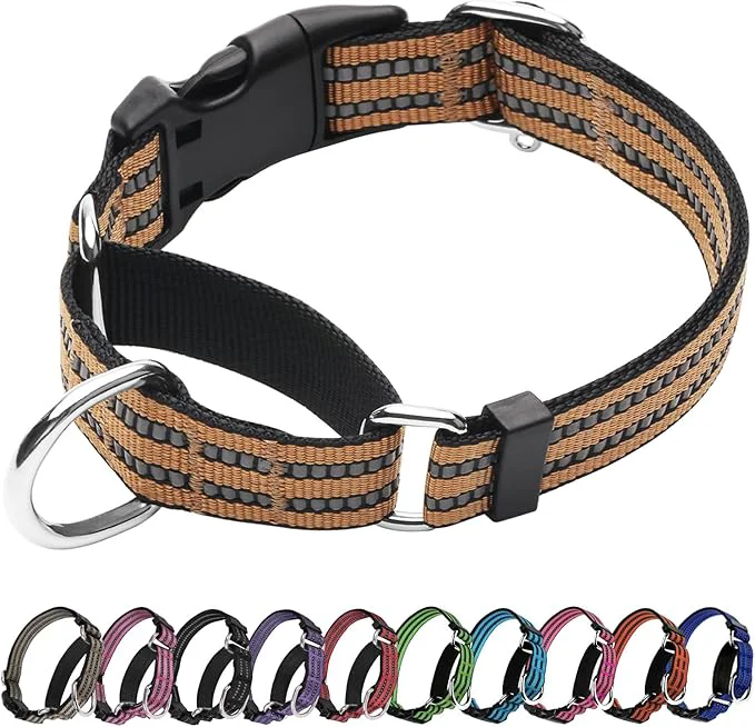 Top-Quality Martingale Dog Collar Adjustable Nylon Reflective Collar High-Grade