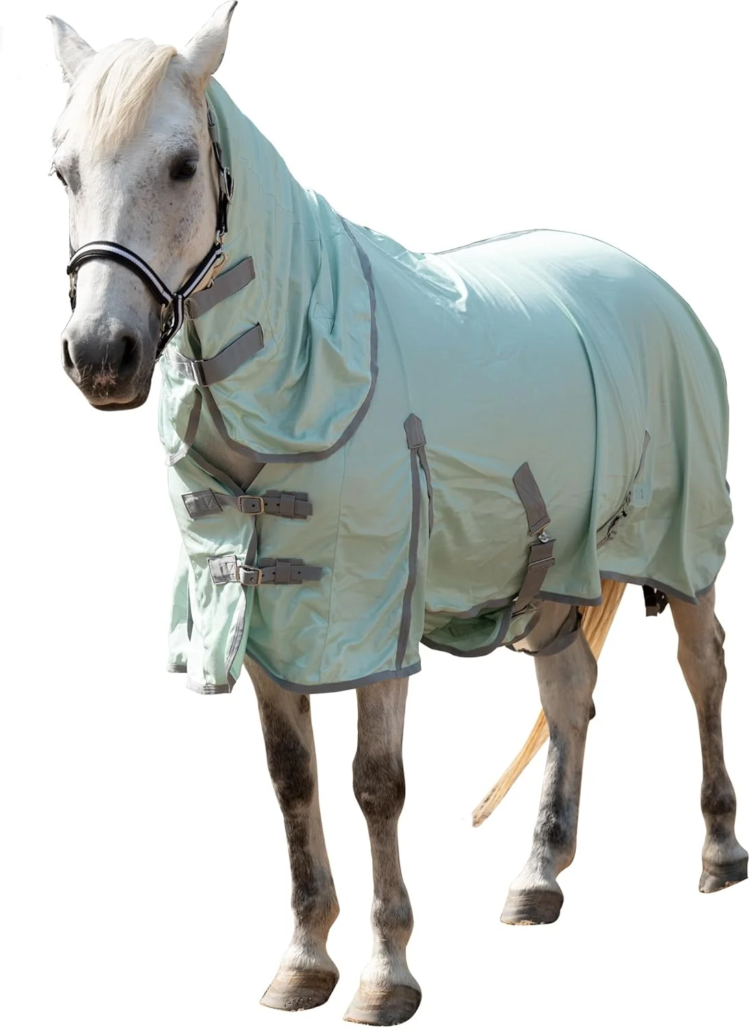 Genuine Horse Fly Sheet with Detachable Neck Cover Belly Wrap Adjustable Fly Sheet for Horses Ventilated Airflow Mesh Equine Cooling Summer Flysheet Green 69 Sophisticated
