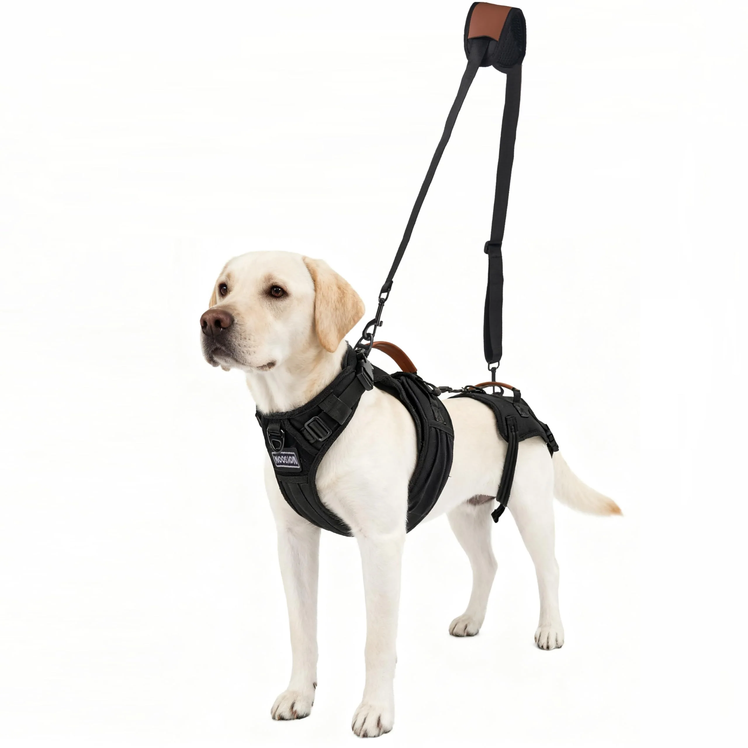 Fine Moysoon Dog Lift Harness – 2-in-1 Full Body Support Sling for Male Dogs Up to 40 Lbs M Consistent