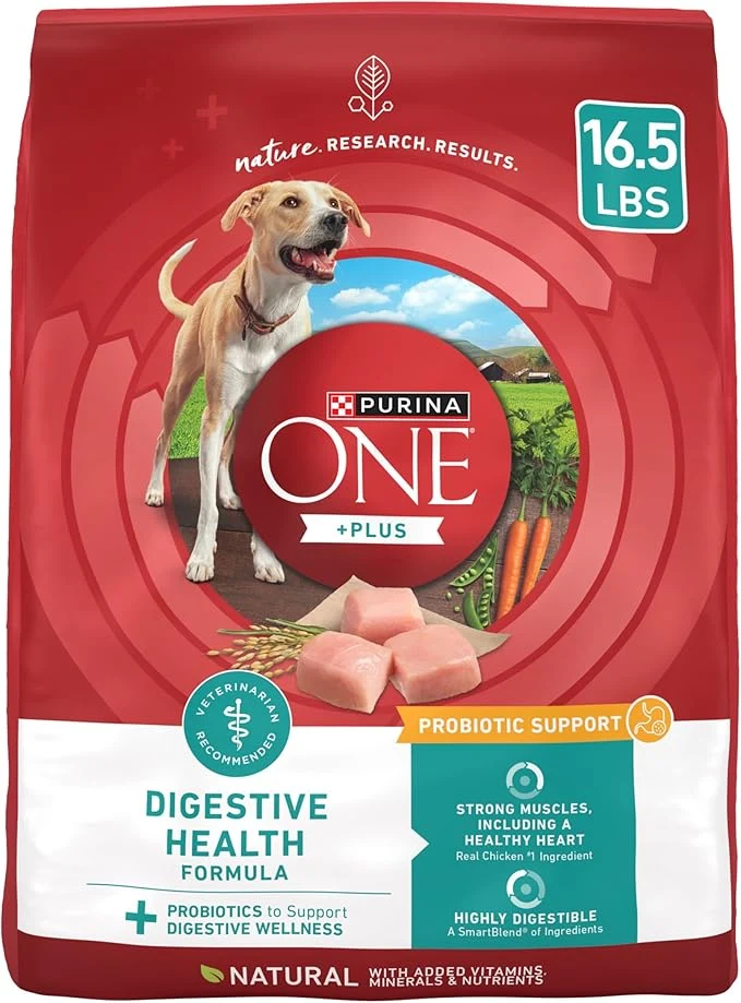Trusted Purina One Plus Digestive Health Formula Dry Dog Food Natural with Added Vitamins Minerals and Nutrients - 16.5 Lb. BagAbout This Comfortable