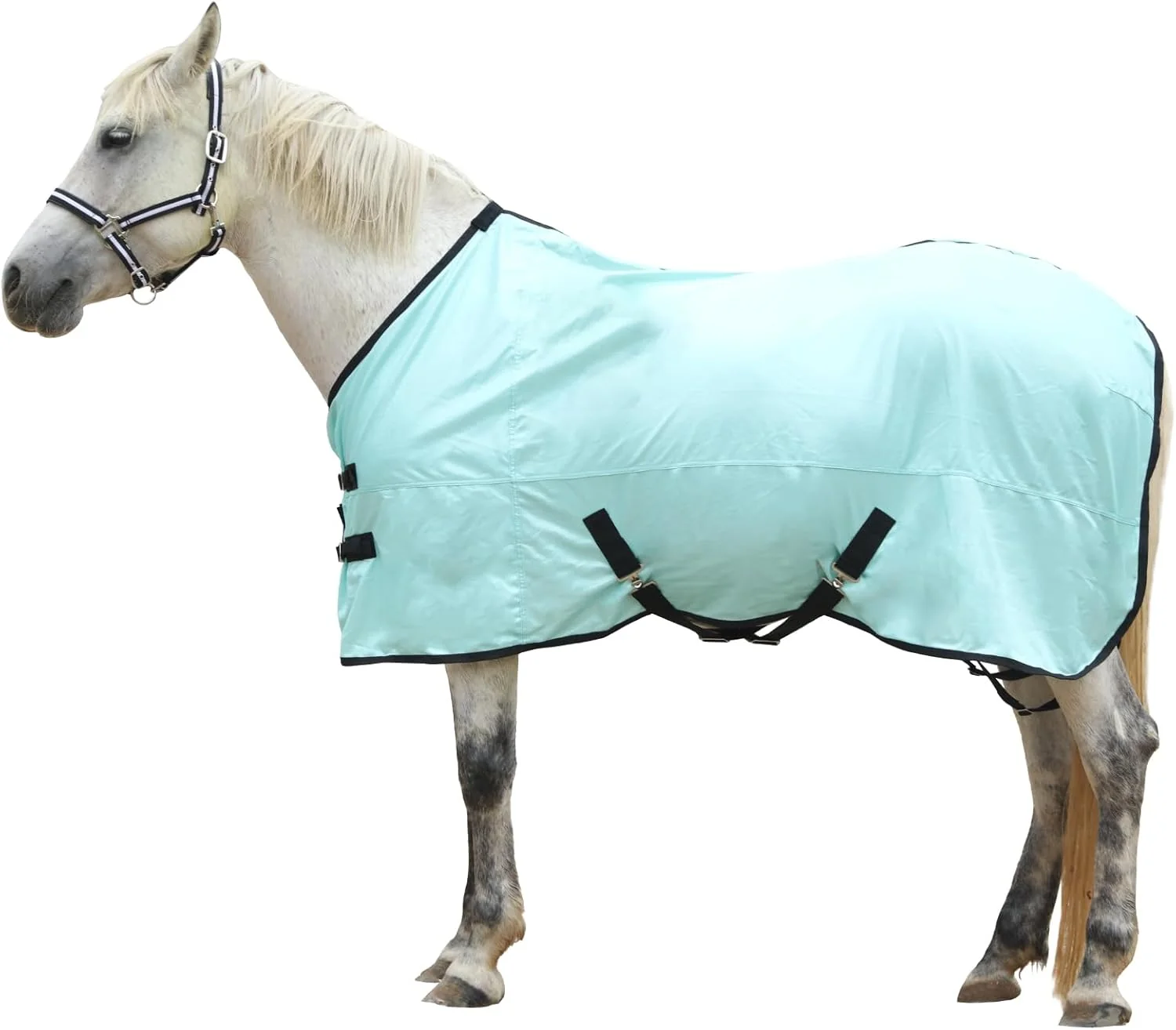 Traditional Horse Fly Sheet Standard Neck Comfy Mesh Fly Sheet for Horses Equine Summer Sheets UV-Protective Green 72 Stylish