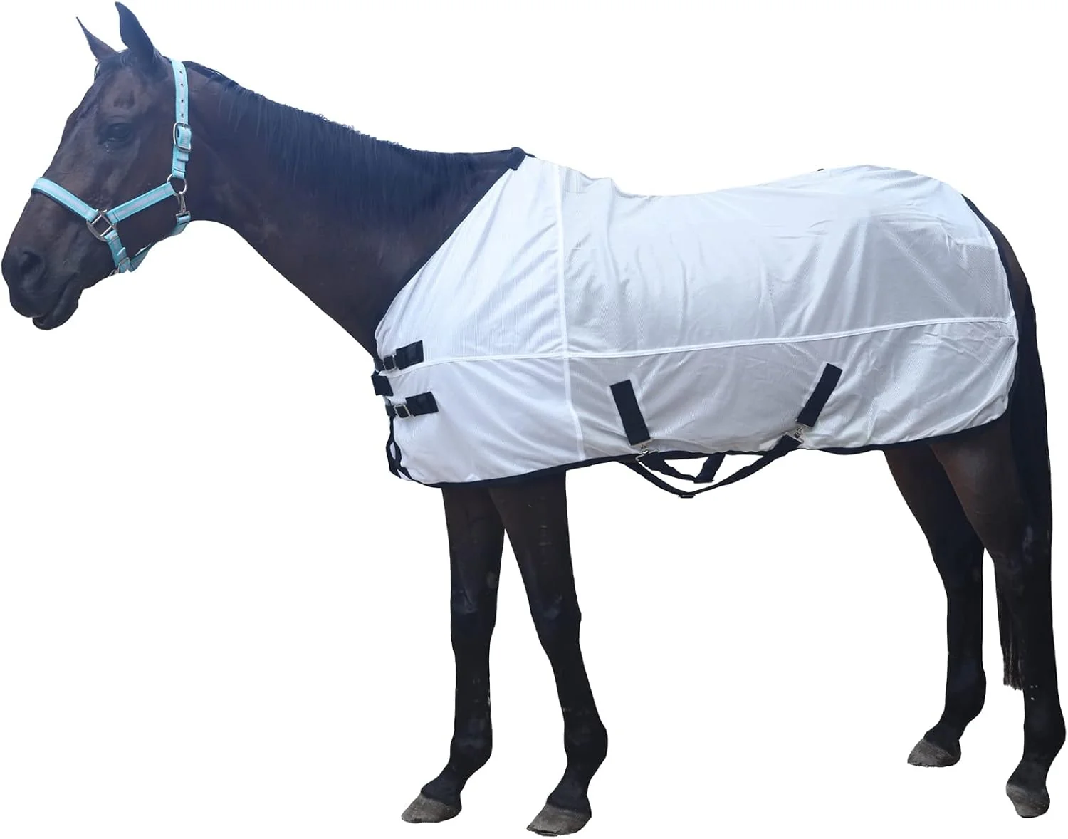 Smooth Comfy Mesh Horse Fly Sheet Equine Summer Sheets Stand Neck White 84 Smart