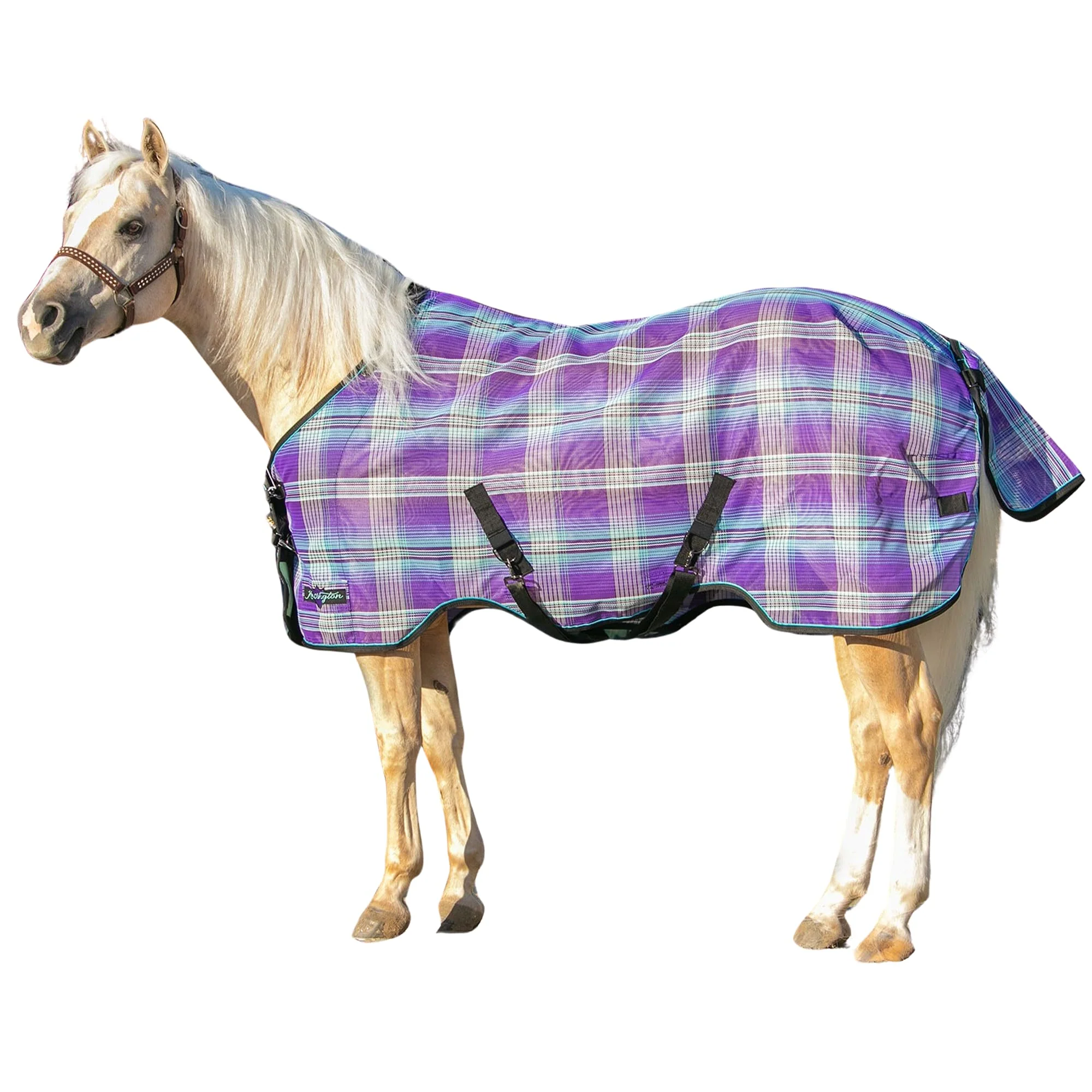High-End Kensington Breathable UV Protective Horse Sheet SureFit All Season 78 Lavender Mint Functional