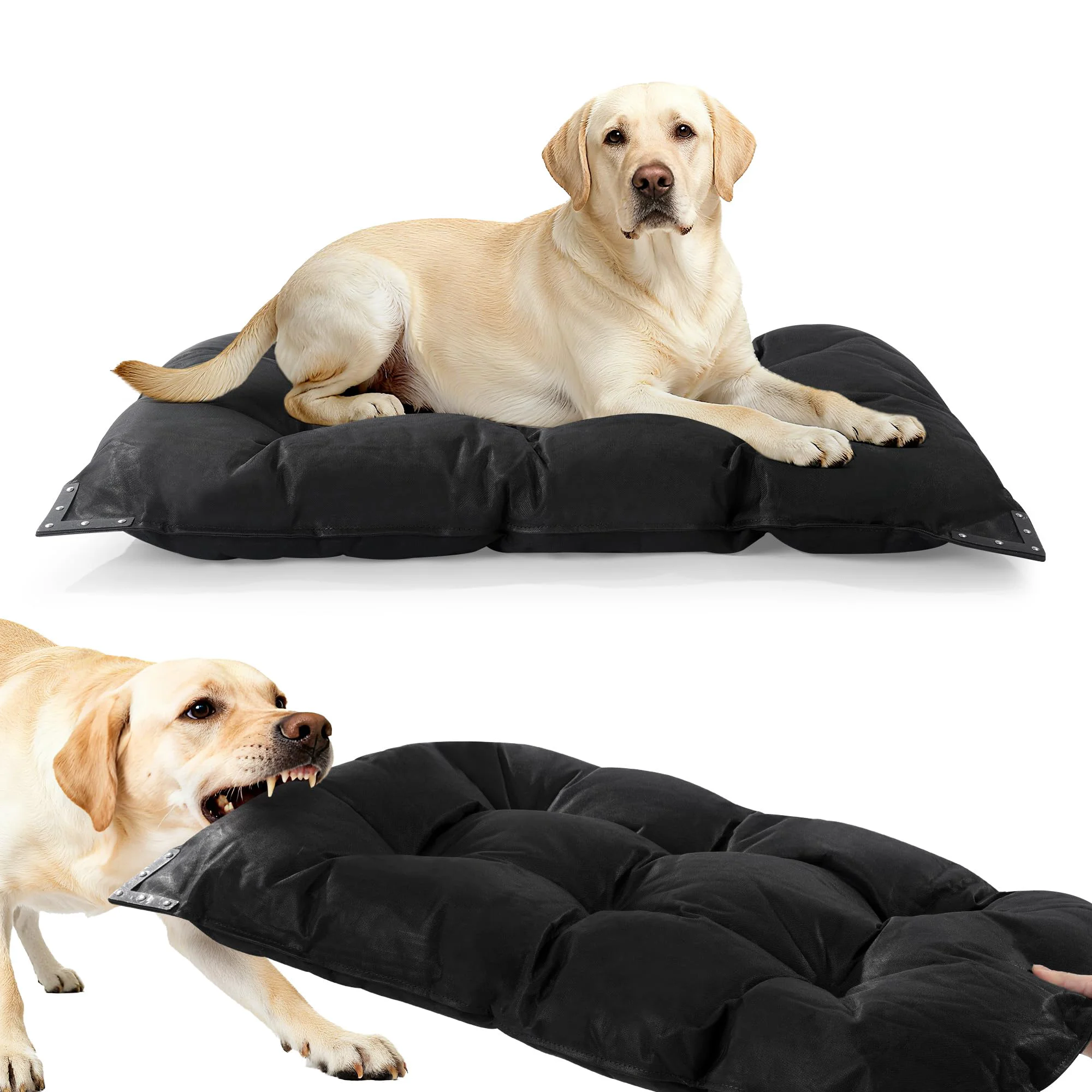 Casual HOMBYS Chew-Proof Indestructible Dog Bed — 35x22 in with Reinforced Rivets Verified